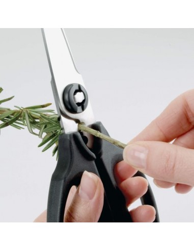 Tijeras de Cocina