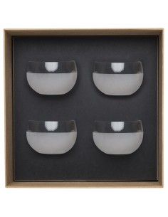 Set de 4 Frosted Bowls Oslo