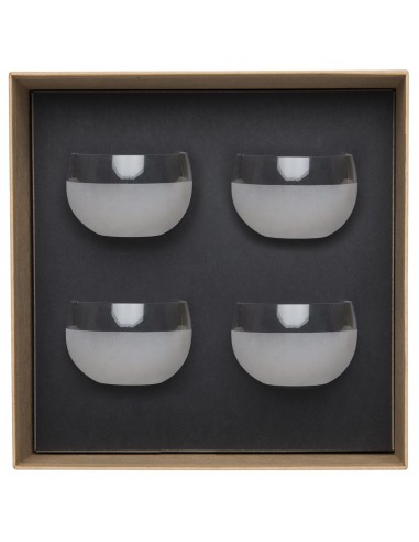 Set de 4 Frosted Bowls Oslo