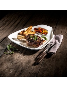 Set de 2 Platos para Filetes BBQ Passion 2