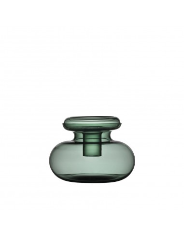 Florero Inu - Moss