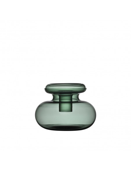 Florero Inu - Moss