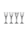 Set de 4 Copas Aquavit Melodia