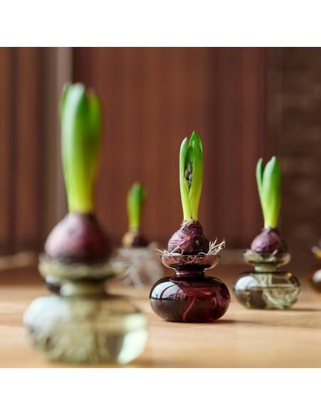 Florero Inu - Plum